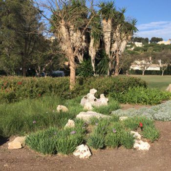 Proyecto Golf Las Brisas