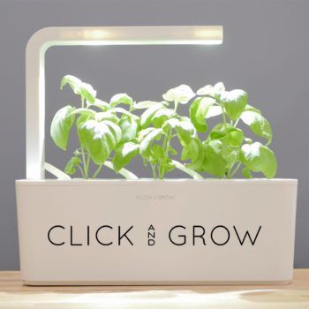 jardineras inteligentes en innovacion