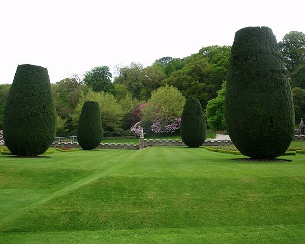 mantenimiento de jardines