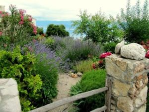 jardin mediterraneo