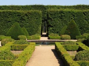 jardin setos