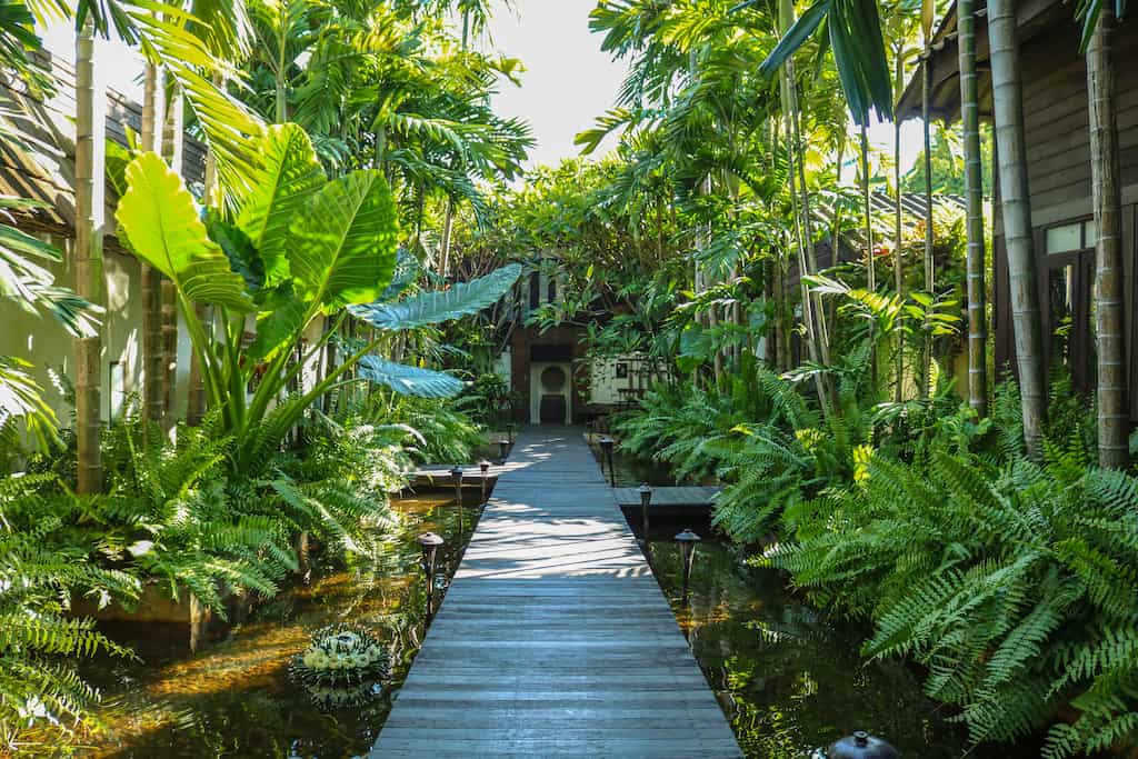 tipos de jardines exteriores