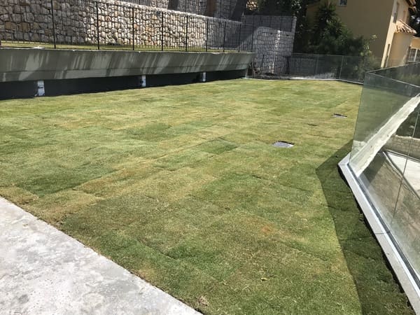 Diseño Cubierta Verde Pinares San Anton