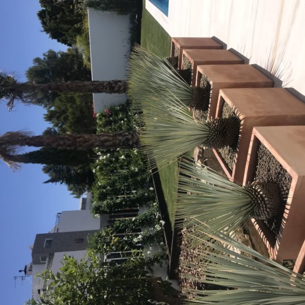 diseno jardin el rodeito