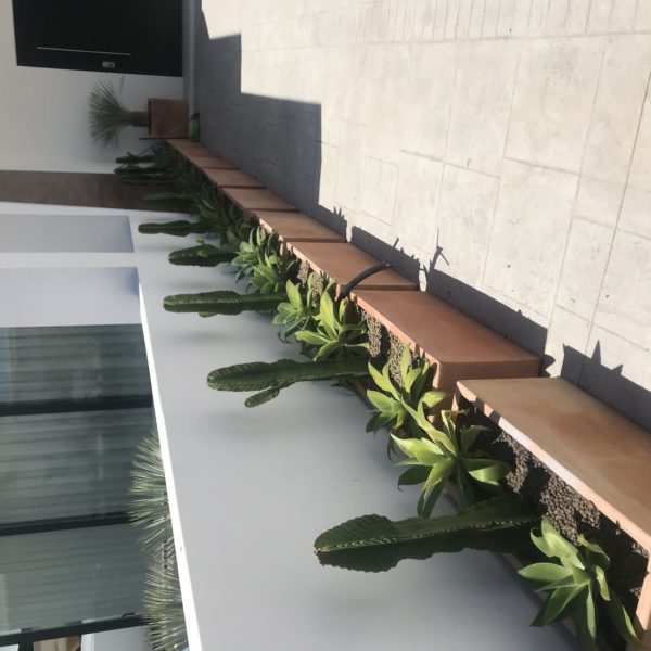 diseno jardin el rodeito