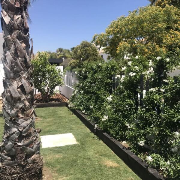 diseno jardin el rodeito