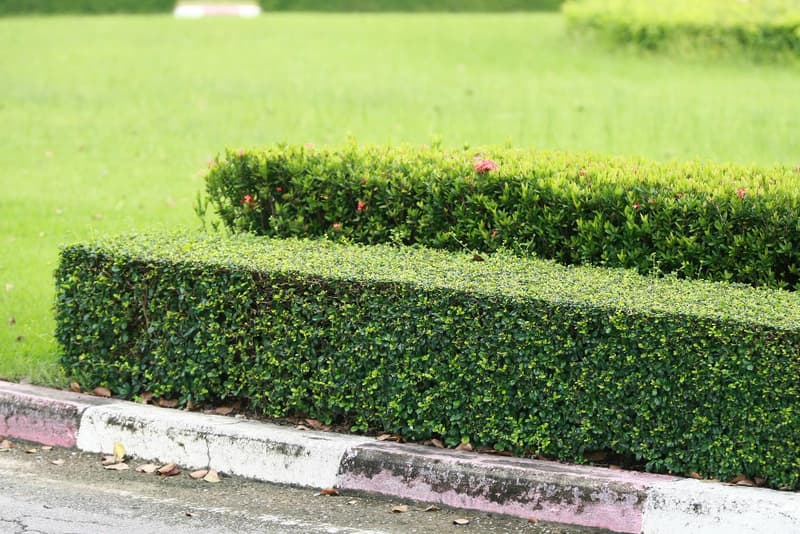 como crear bordillos para jardín