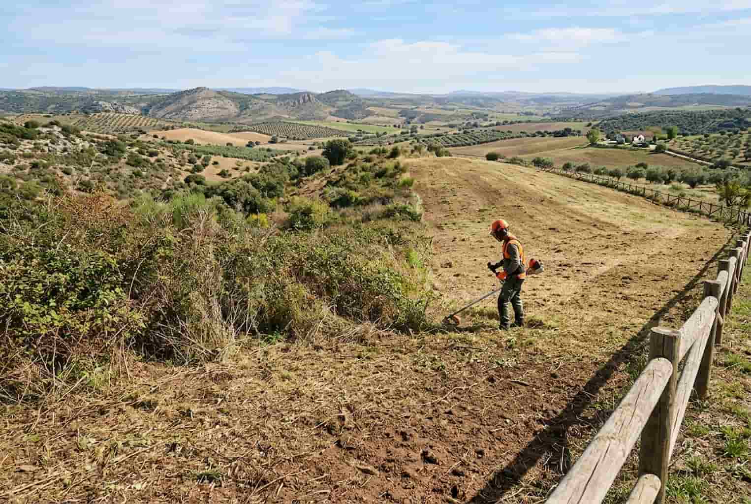 como desbrozar un terreno urbanature